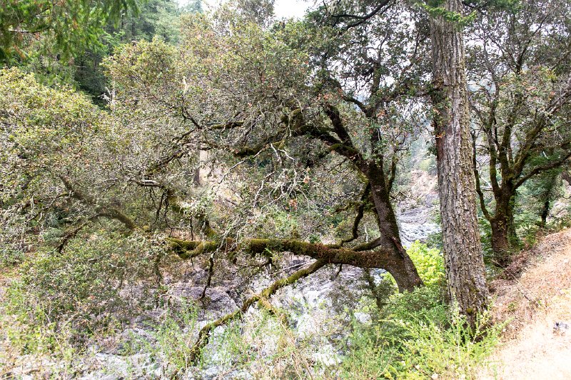 20150823_125513 D3S.jpg - Smith River along route 199 near Gasquet, CA